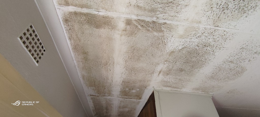 Mold Mold